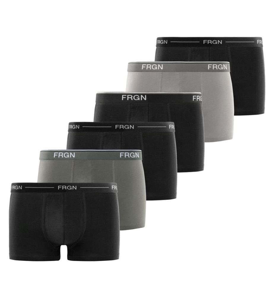 Lot de 6 Boxers FRGN Line et Class - Gris et Noir