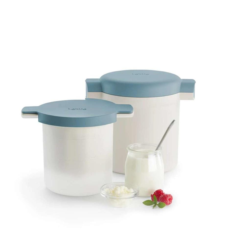 Kit de kéfir et yaourt
