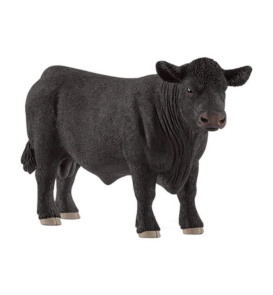 Taureau Angus - 13879