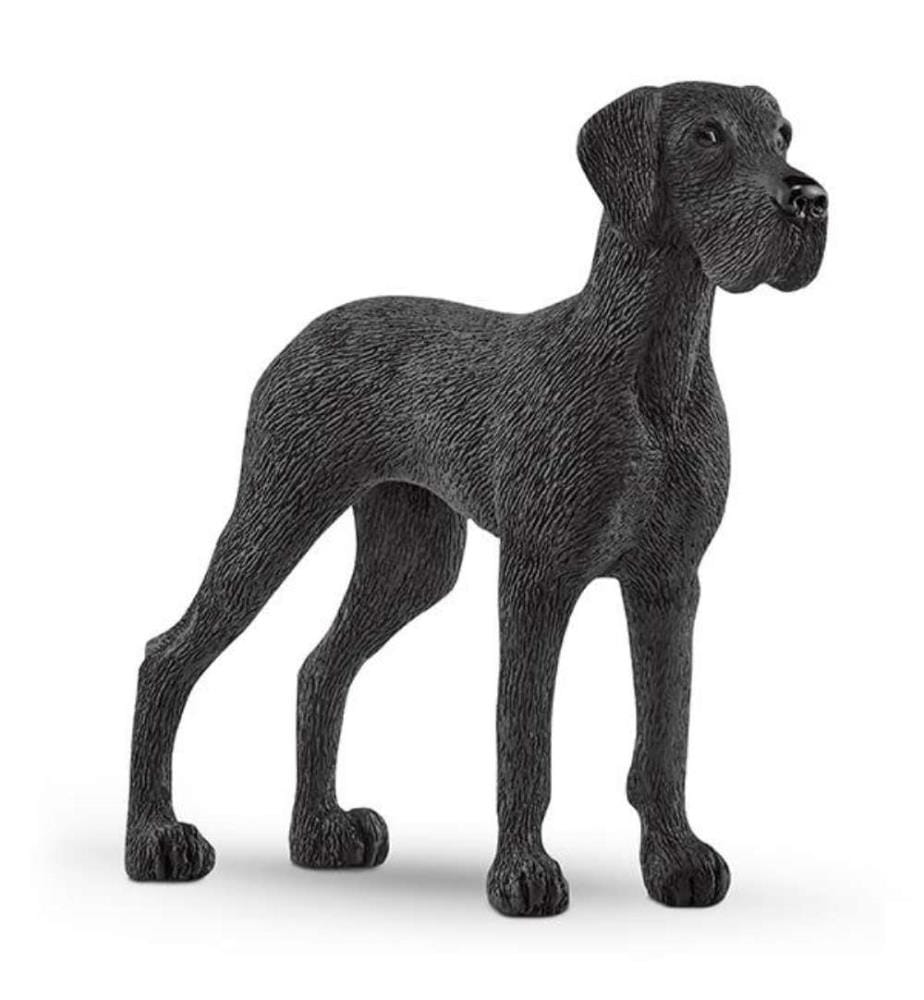 13962 - Dogue Allemand