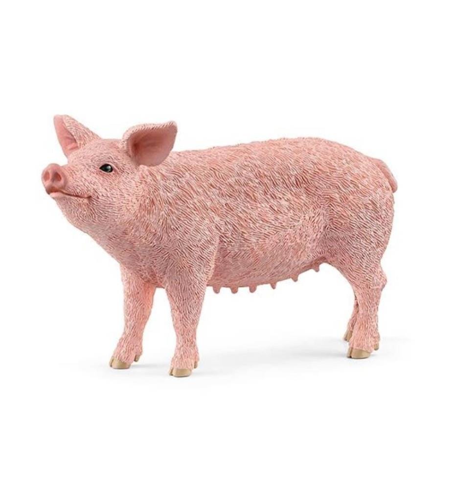 13933 - Cochon
