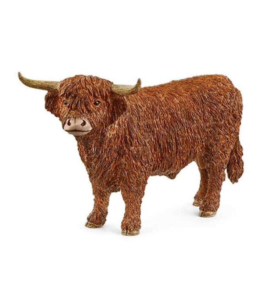 13919 - Taureau highland