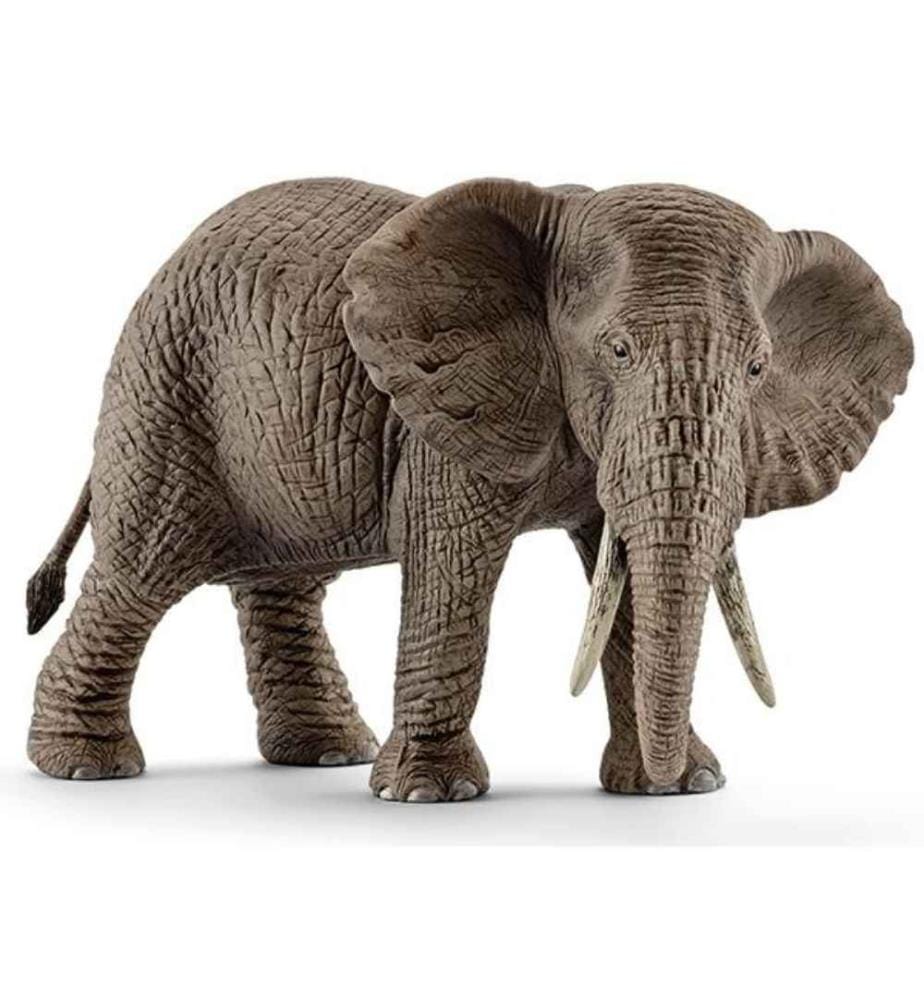 14761 - Eléphant d'Afrique femelle
