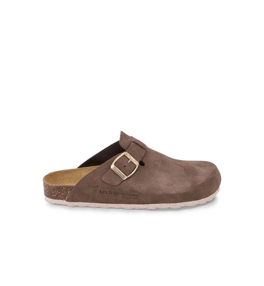 Mules - Zabot