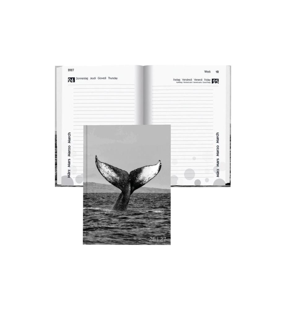 Biella Agenda scolaire mydiary 2026/27 Baleine, 12 x 16.5 cm