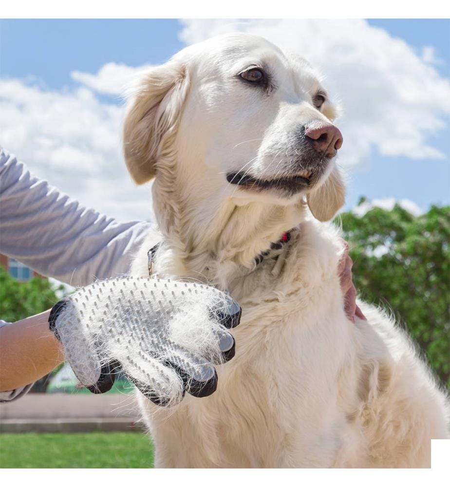 Brosse et Gants de Massage pour Animaux de Compagnie - Gris