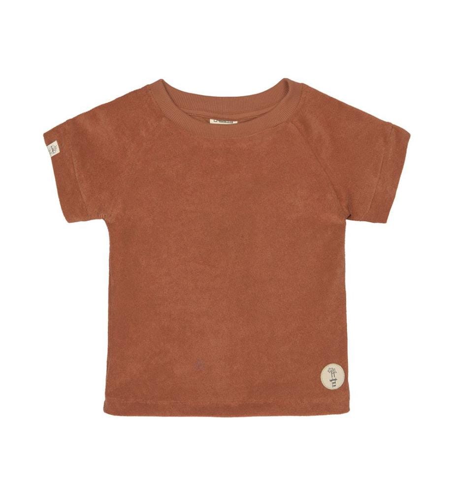 Chemise en éponge rouille