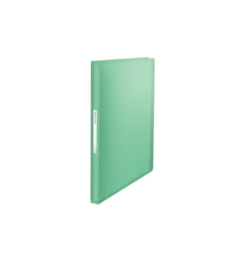 Esselte Classeur à pochettes COLOURICE 80 feuilles, Vert