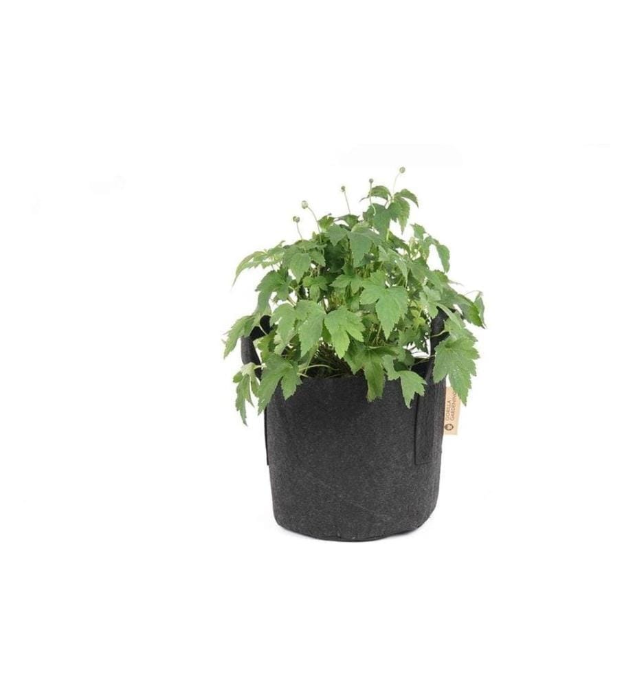 Gorilla Gardening Sac à plantes Noir