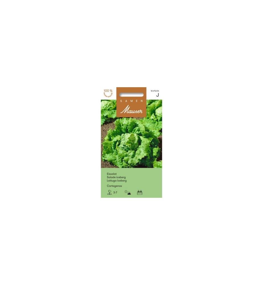Samen Mauser Semence Laitue à tondre Cartagenas Salade Cartagenas Graines de légumes