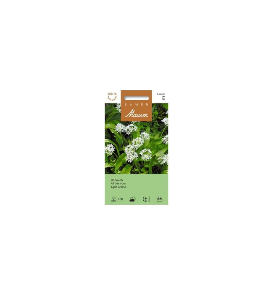 Samen Mauser Semence Ail des ours Graines de plantes Blanc