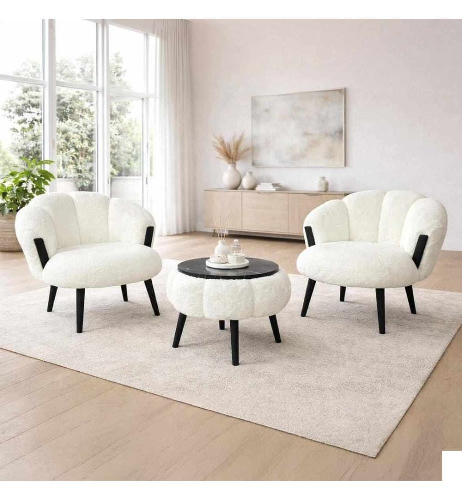 Ensemble 3 pièces chaise Wing et table basse Star