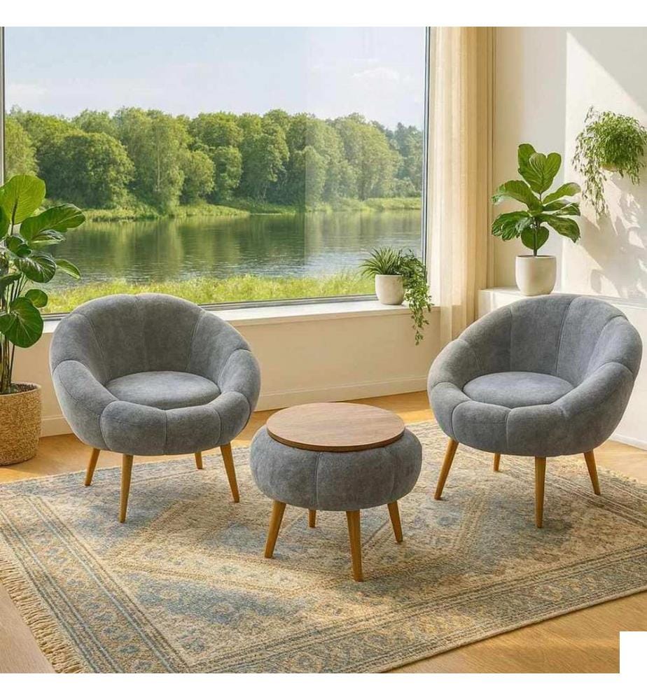 Ensemble 3 pièces chaise Wing et table basse Lida