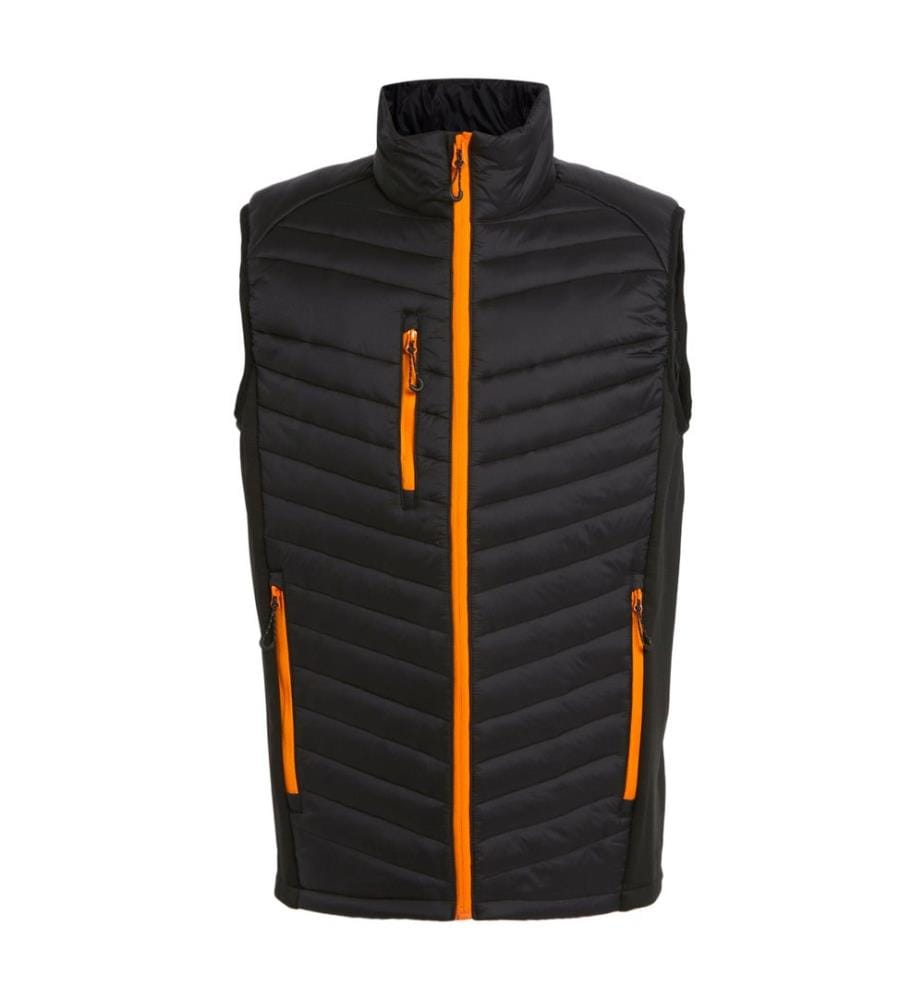 Regatta Professional - Veste sans manches - Homme