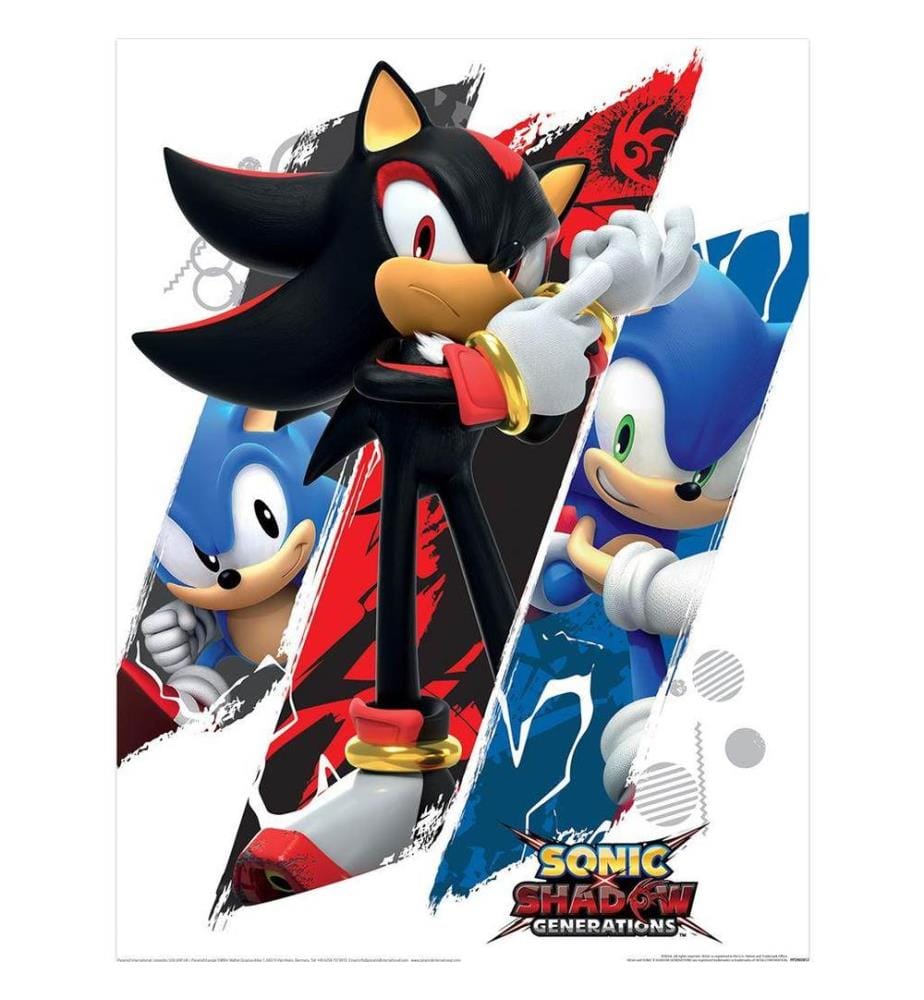 Sonic The Hedgehog - Imprimé SHADOW & SONIC