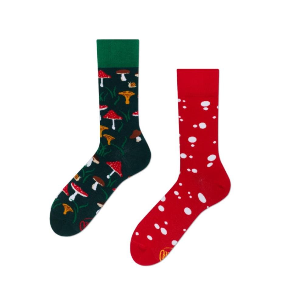 Chaussettes Meet the Shrooms