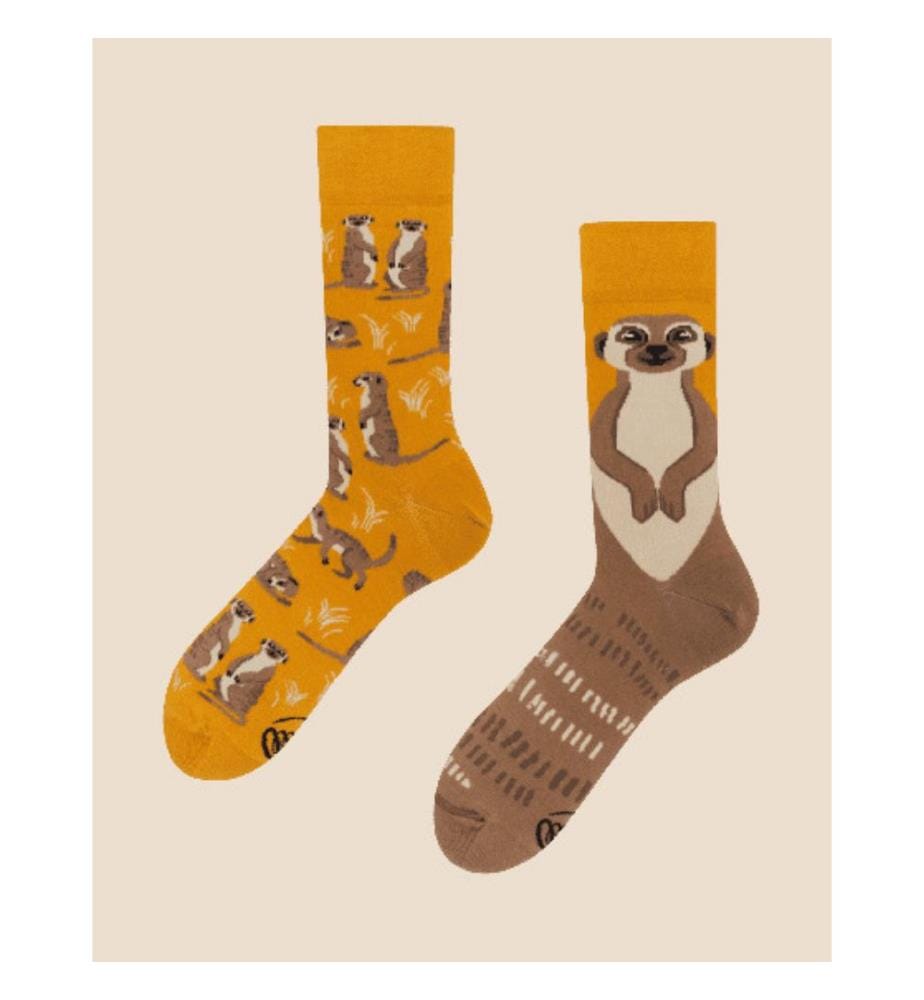 Chaussettes The Meerkat