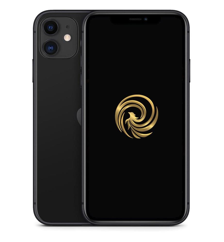 Iphone reconditionné REBORN - Modèle : IP1164B