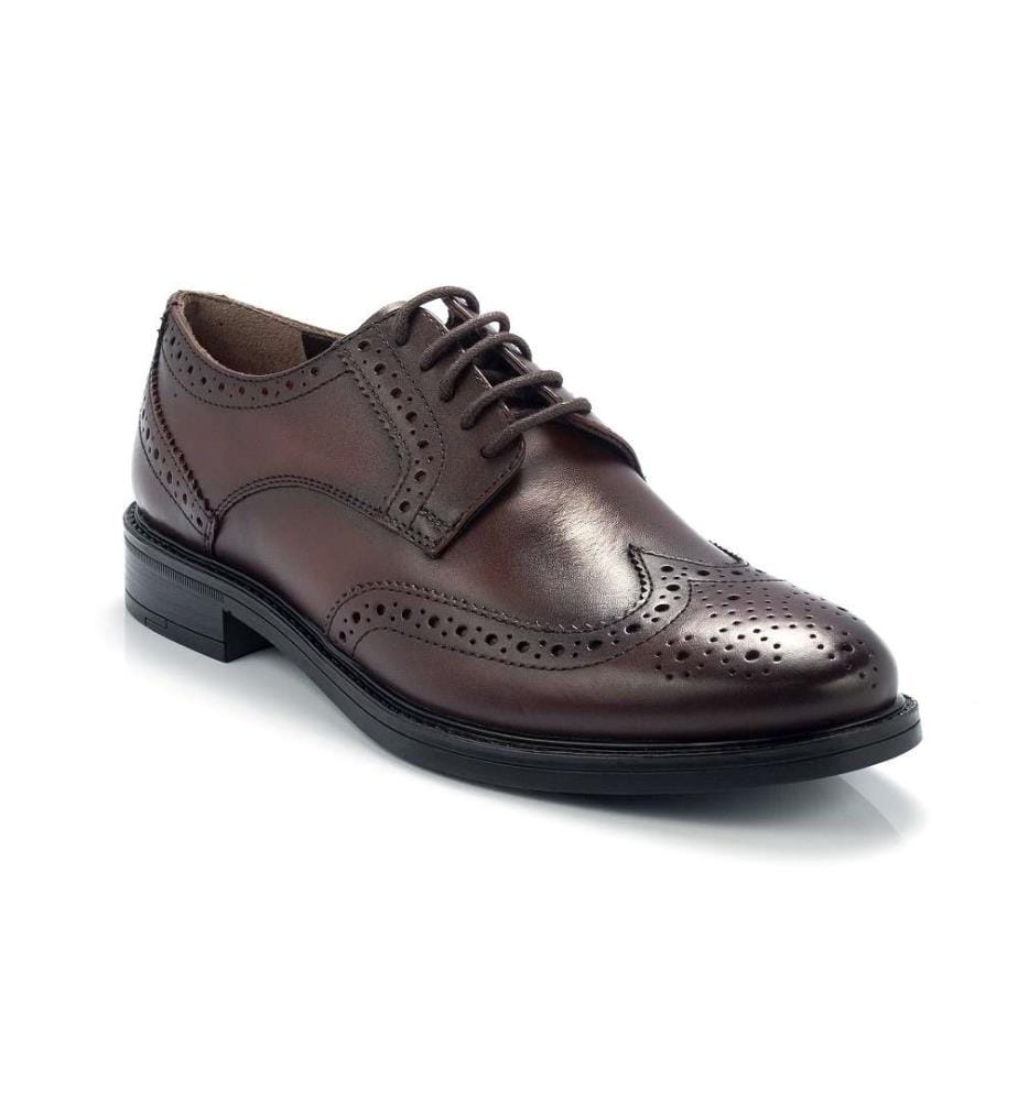 Derbies - Brun