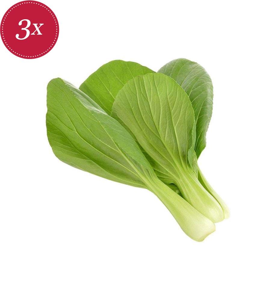 Set di 3 ricariche per SMART GARDEN - Pak choi