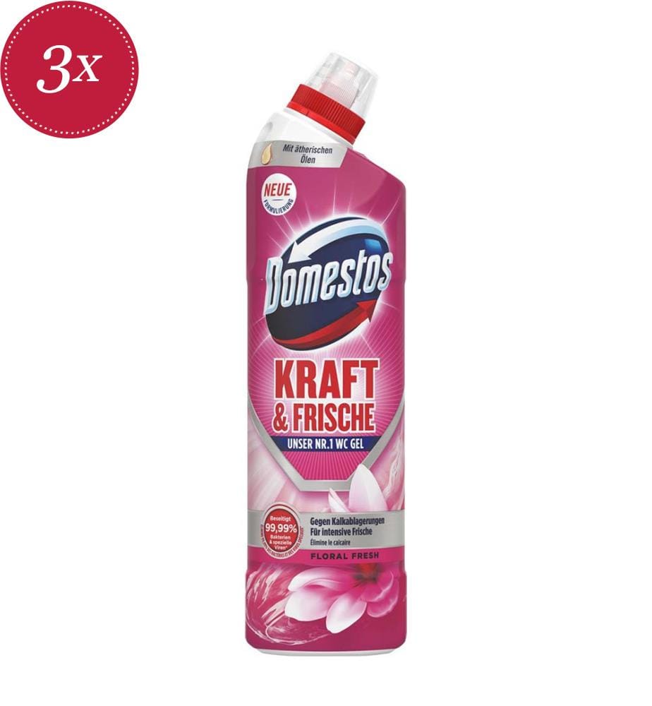 Lot de 3 Gels WC Aktiv Fresh Floral Fresh - 750ml
