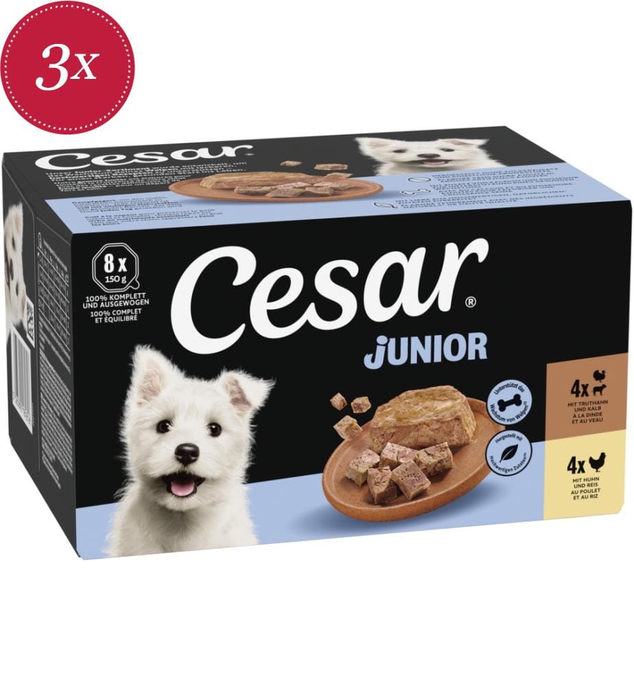3x Junior-Schale mit Hähnchen- und Puten-Terrine - 8 x 150 g