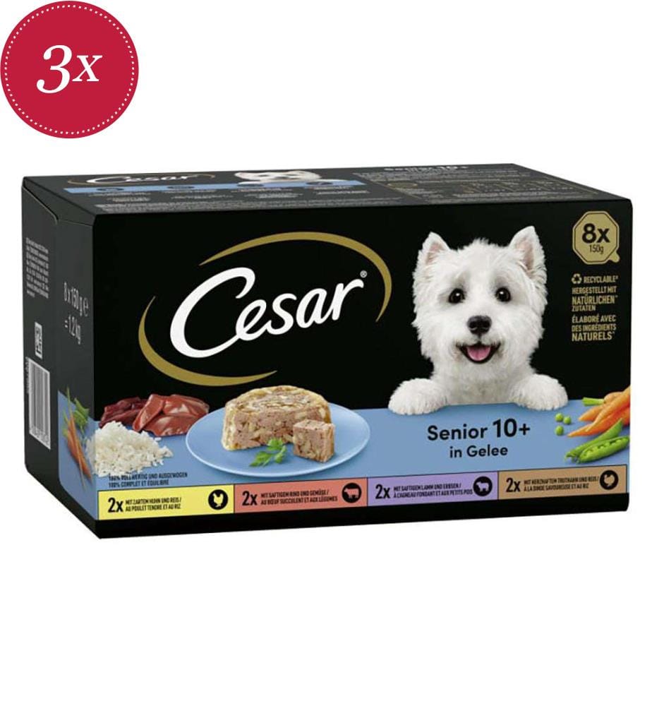 3x Senior-Schalen-Multipack 8 x 150 g - 1200 g