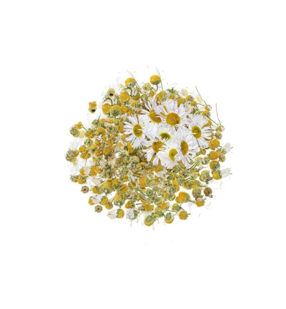 GLOREX - Fleurs Camomille 3g