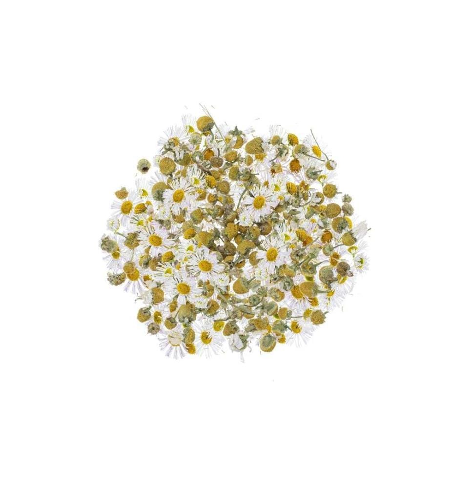 GLOREX - Fleurs Camomille 3g