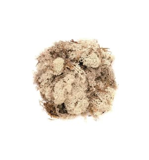 GLOREX - Mousse Island  naturel