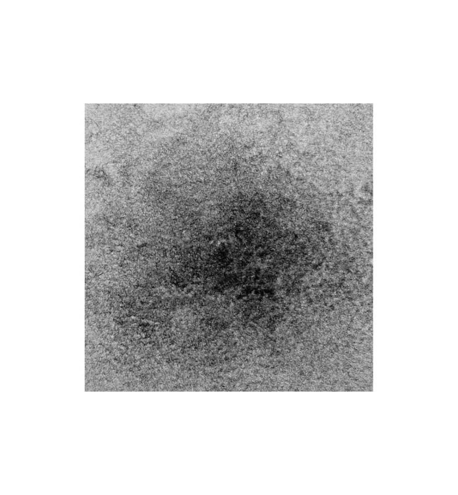GLOREX - Samtpulver 11 g, Schwarz
