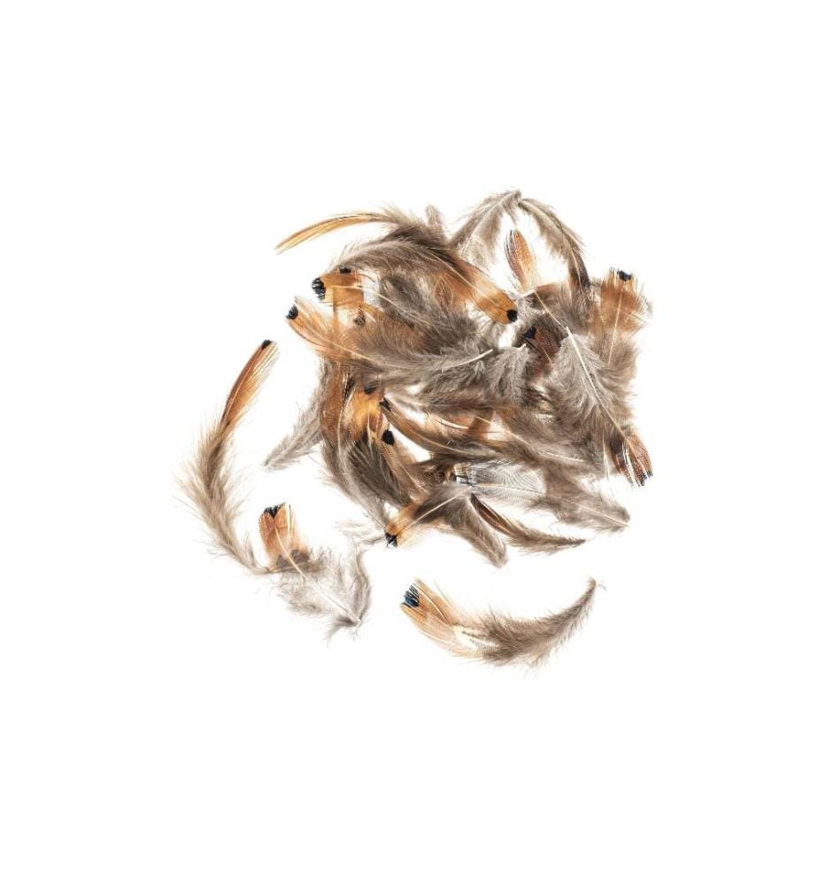 GLOREX - Federn Fasan 5-12 cm, 10g, Braun
