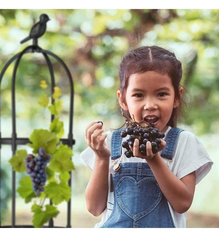 RELAXDAYS Relaxdays Garden Obelisk, Set of 2, H … DeinDeal