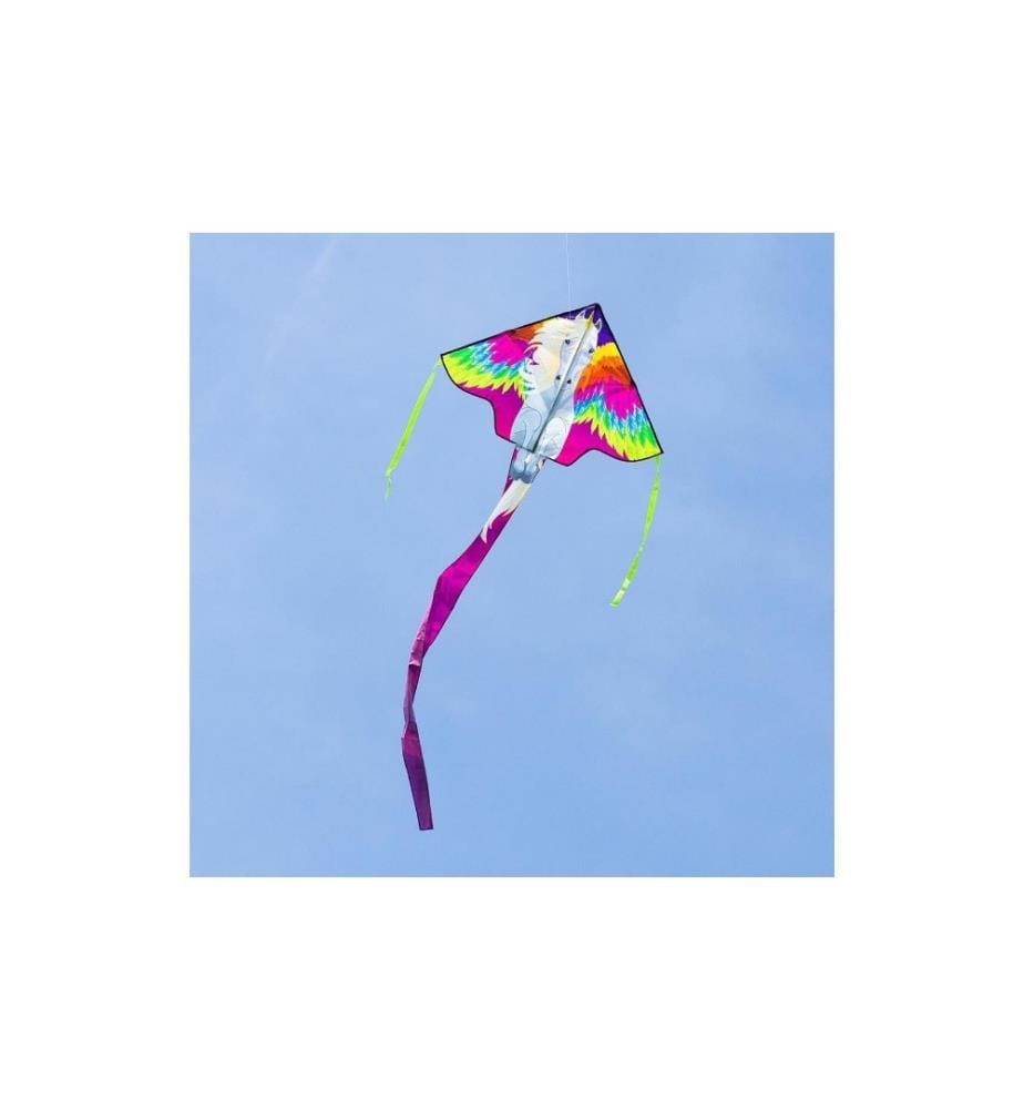 Invento-HQ Cerf-volant monoligne Simple Flyer: Pegasus