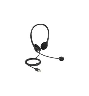 DELOCK - Casque USB Stereo pour PC et Laptop