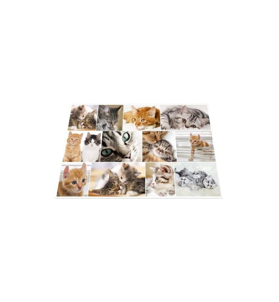 HERMA - Sous-main Katzen 55 x 35 cm