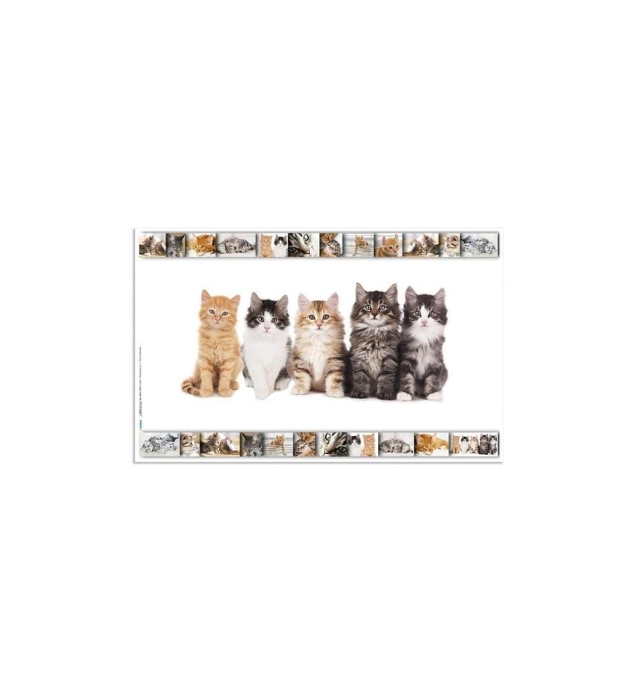 HERMA - Schreibunterlage Katzen 55 x 35 cm
