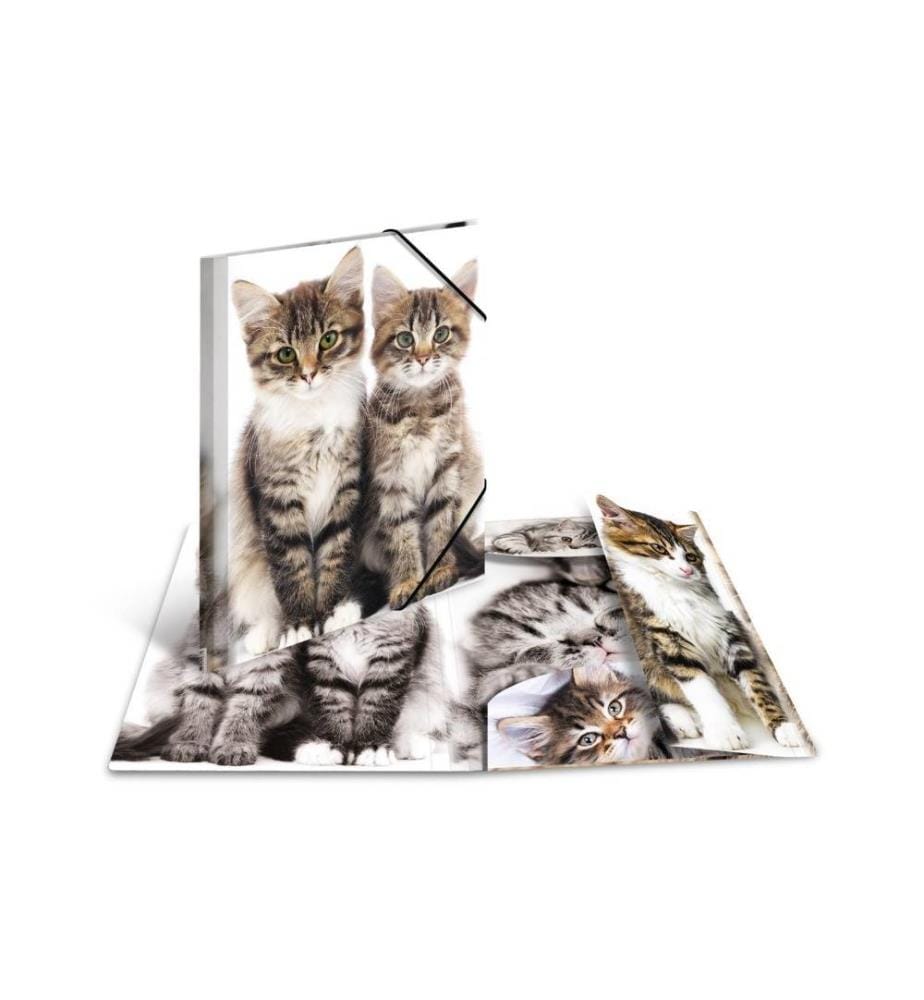 HERMA - Portfolio à ruban élastique A4 Chats, polypropylène, avec impression intérieure