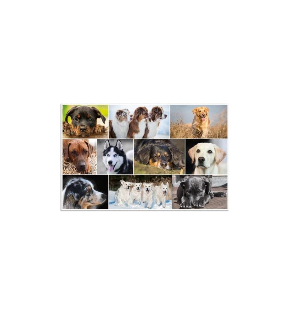 HERMA - Sous-main Hunde 55 x 35 cm