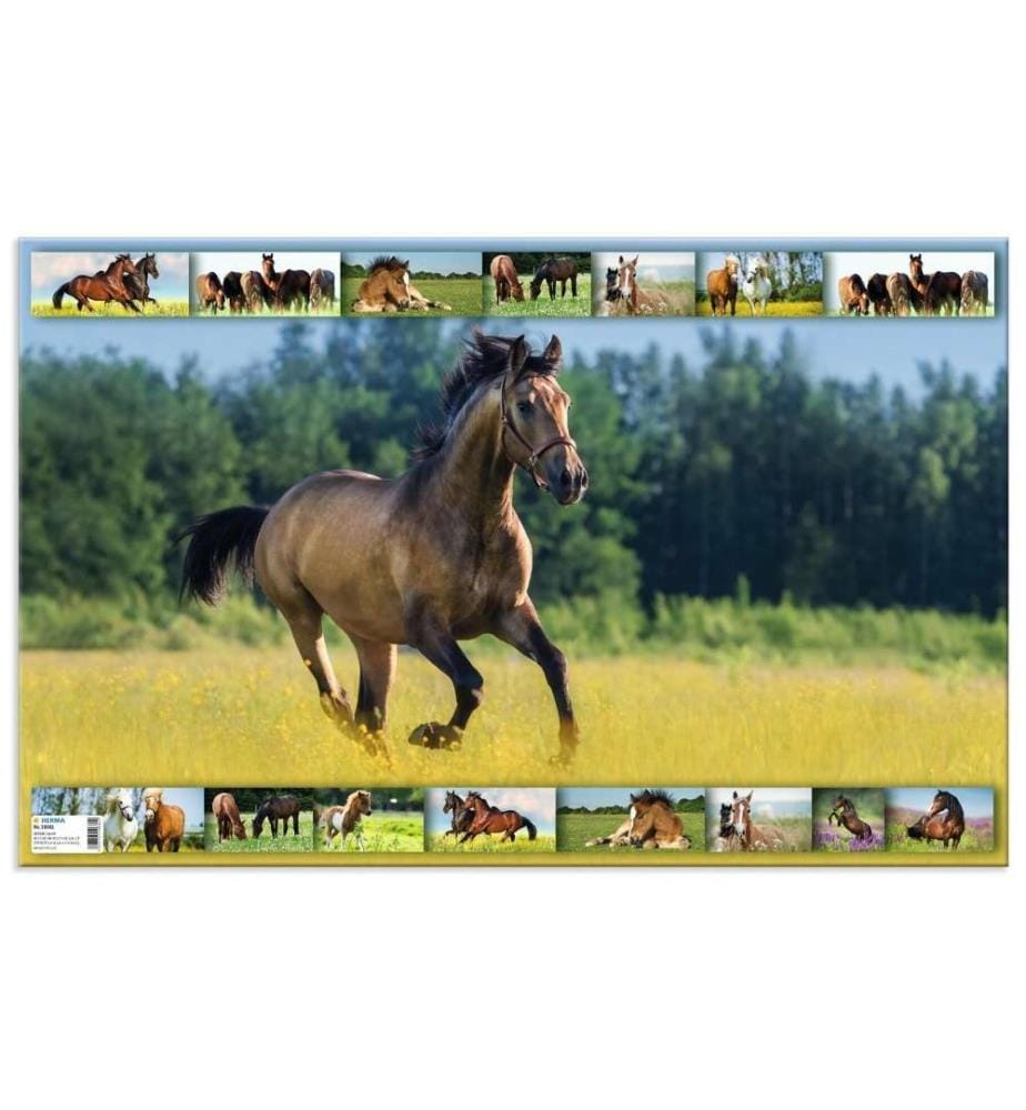HERMA - Sous-main Prairie pour chevaux 55 x 35 cm