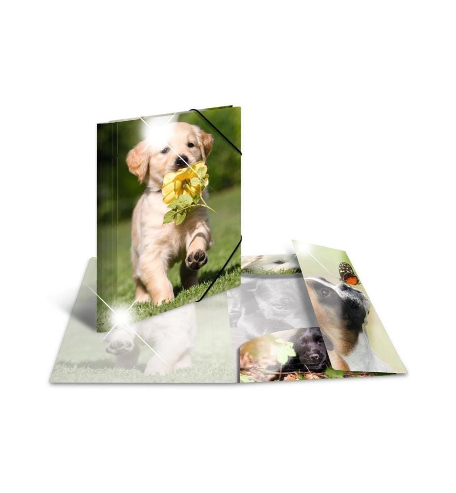 HERMA - Portfolio à ruban élastique A4 Chiens, polypropylène, avec impression intérieure