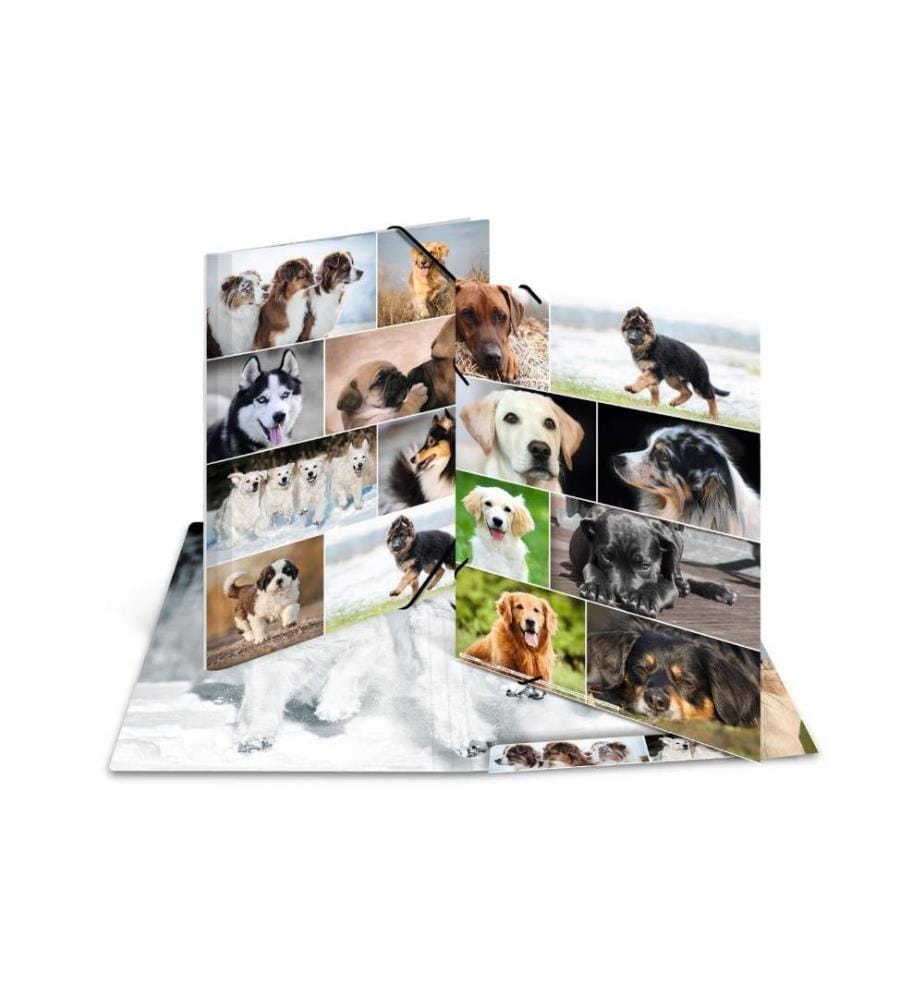 HERMA - Gummibandmappe A3 Hunde, Karton, mit Innendruck