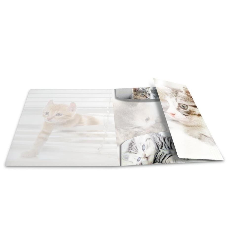 HERMA - Gummibandmappe A3 Katzen, Polypropylen, mit Innendruck