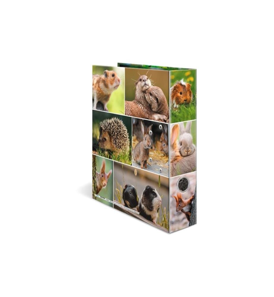 HERMA - Dossier Rongeurs 7 cm, Multicolore