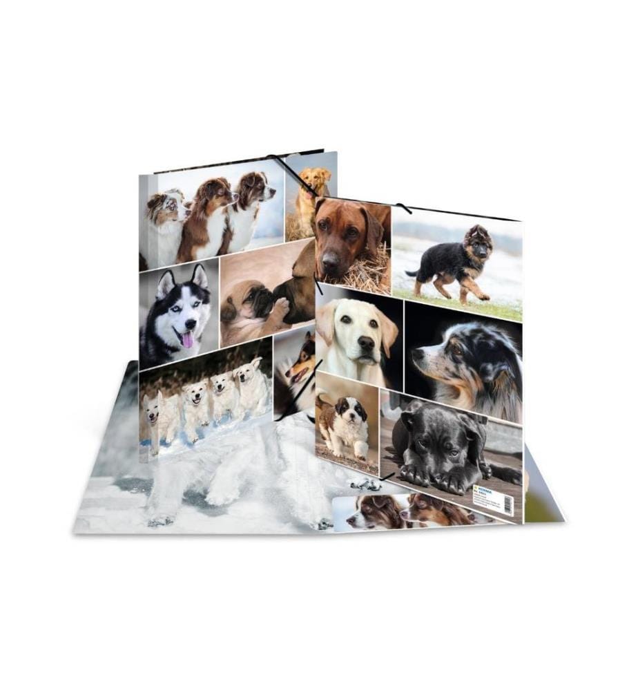 HERMA - Gummibandmappe A4 Hunde, Karton, mit Innendruck
