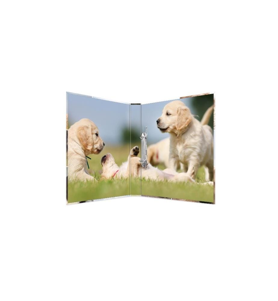 HERMA - Classeur Chiens 2 anneaux 3.5 cm