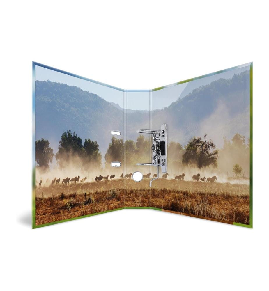 HERMA - Motif classeur A4 Cheval 1 pièce