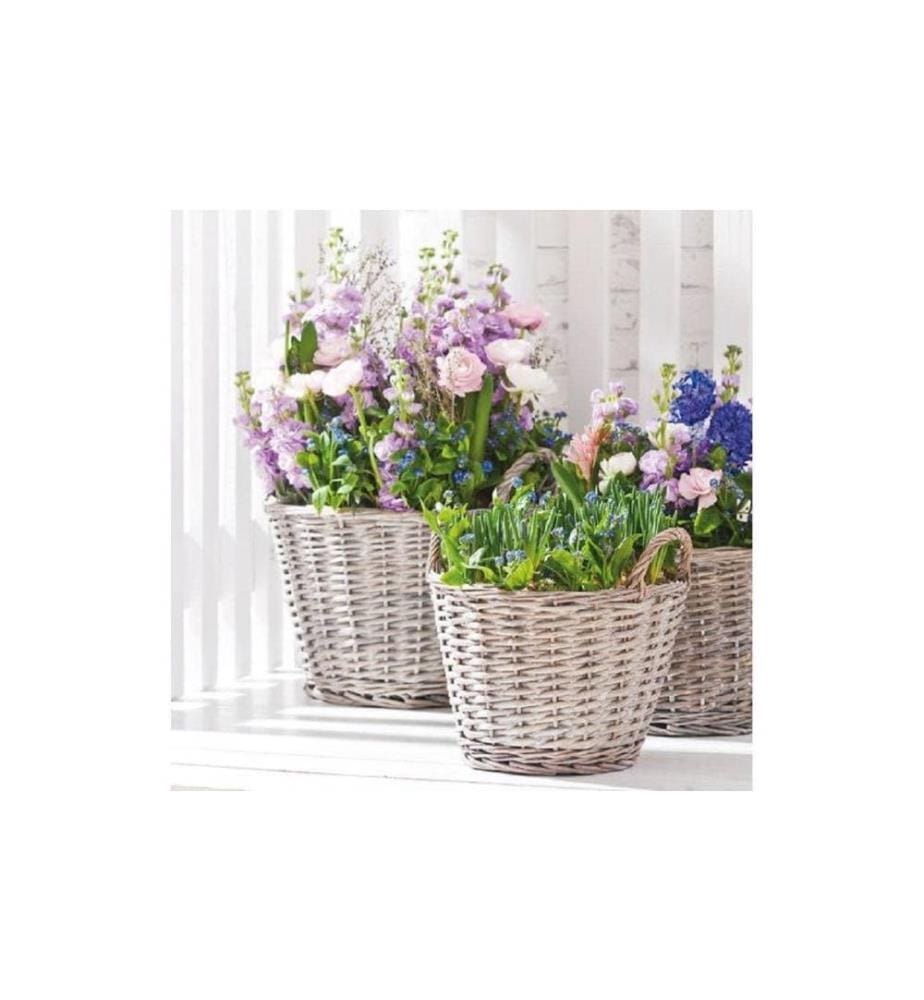 OPIFLOR - Weidenkorb Hessen, 22 cm Grau