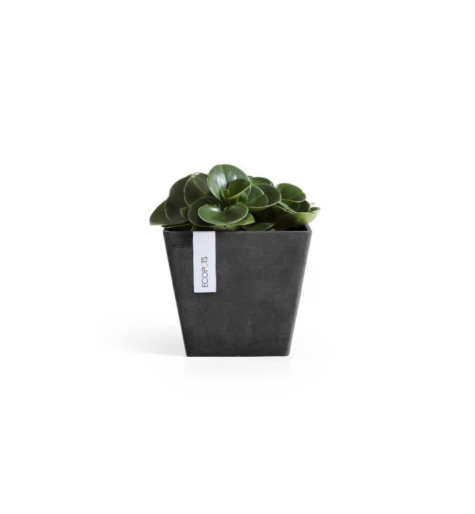 ECOPOTS - Pflanzentopf Rotterdam 20 Dunkelgrau