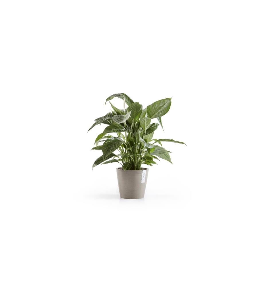 ECOPOTS - Pflanzentopf Amsterdam 20, French Taupe